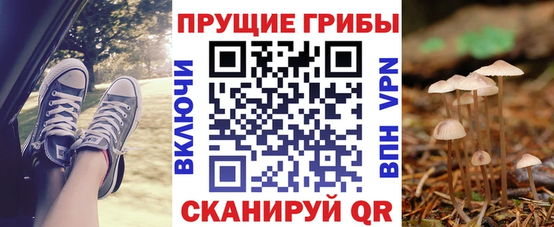 Псилоцибиновые грибы GOLDEN TEACHER  Купить закладки  Невельск 